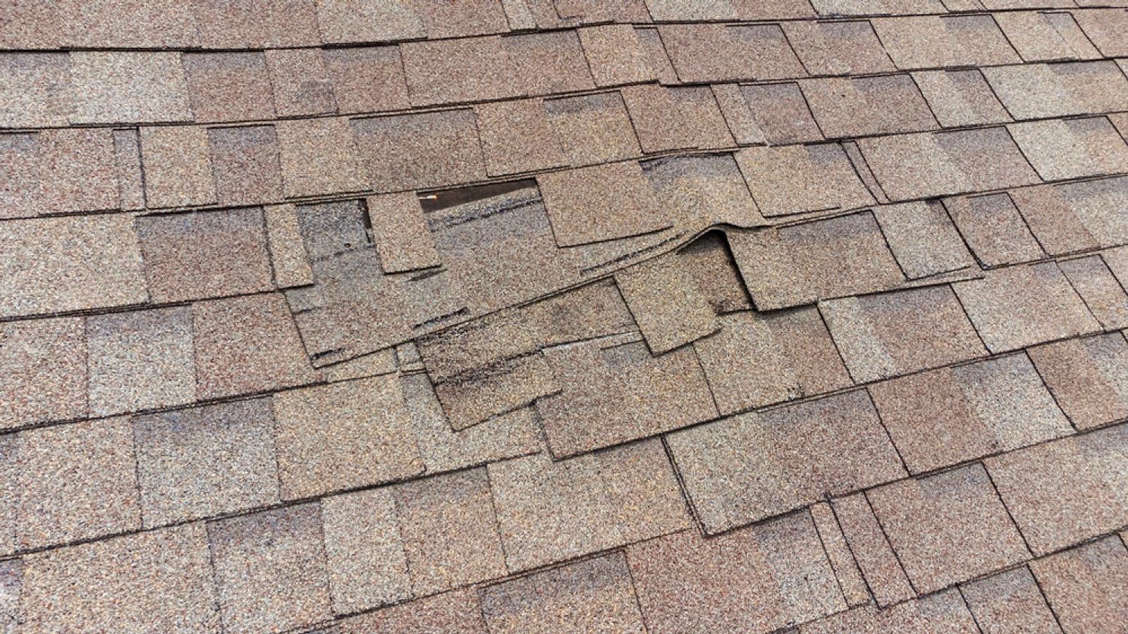 Close view of lifted shingle tabs on an asphalt roof