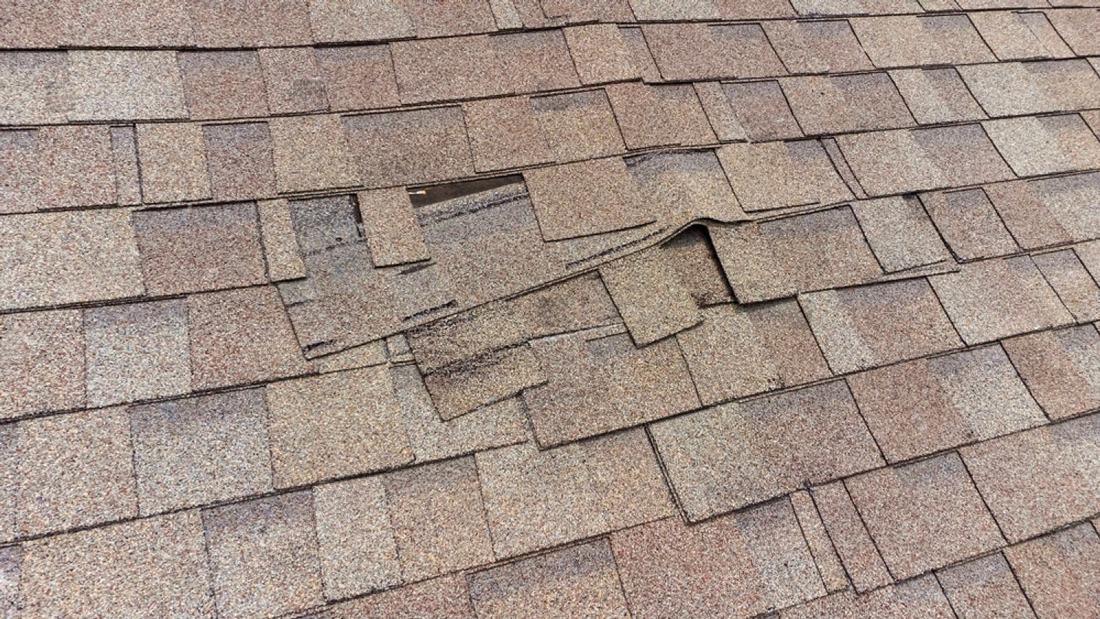 Close view of lifted shingle tabs on an asphalt roof