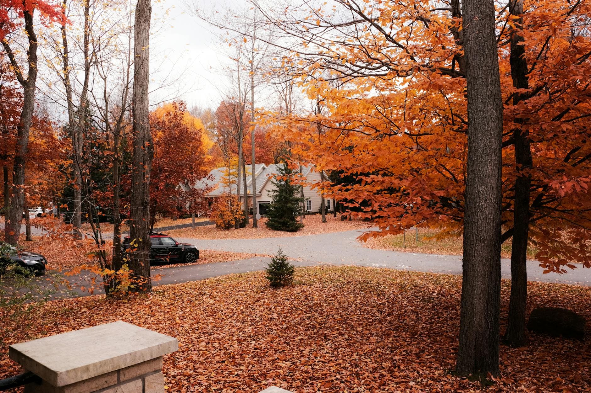Kansas home surrounded by fall foliage with a well-maintained roof