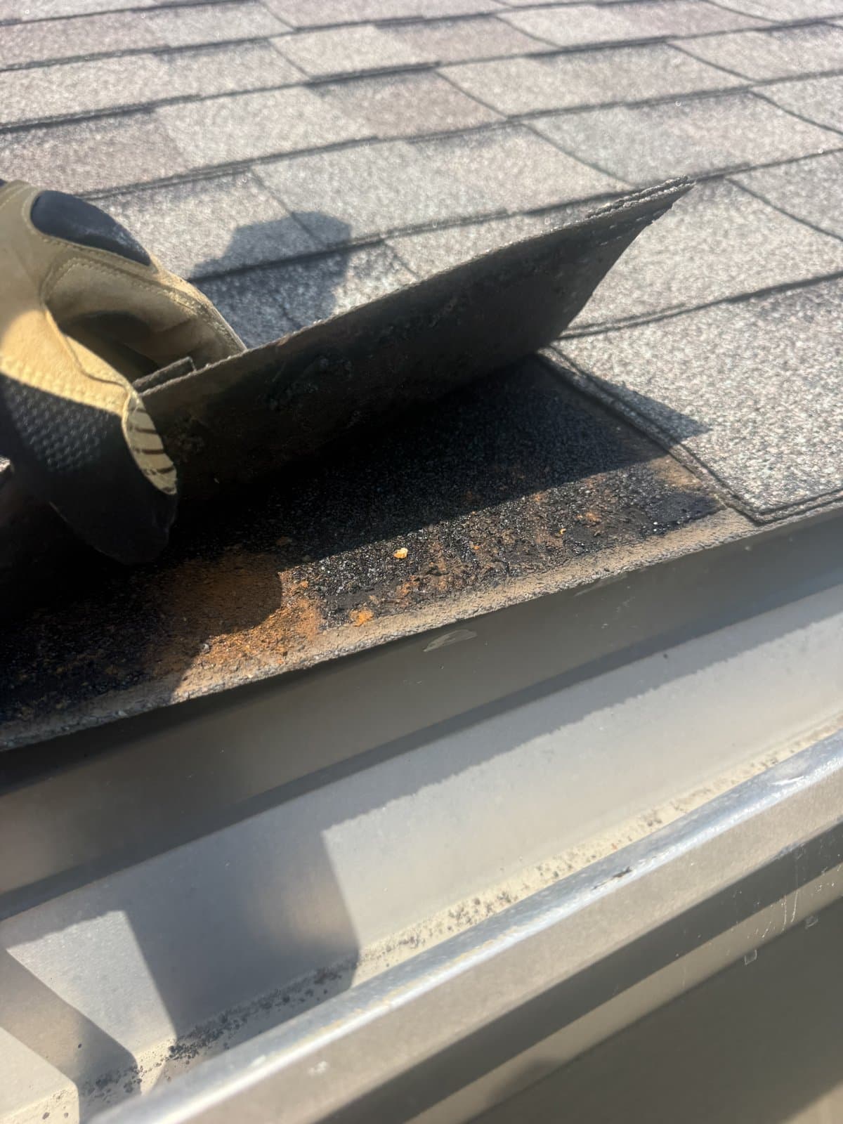 A gloved hand lifts a shingle at the roof edge above the gutter